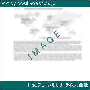 グローバルリサーチ調査資料のイメージ